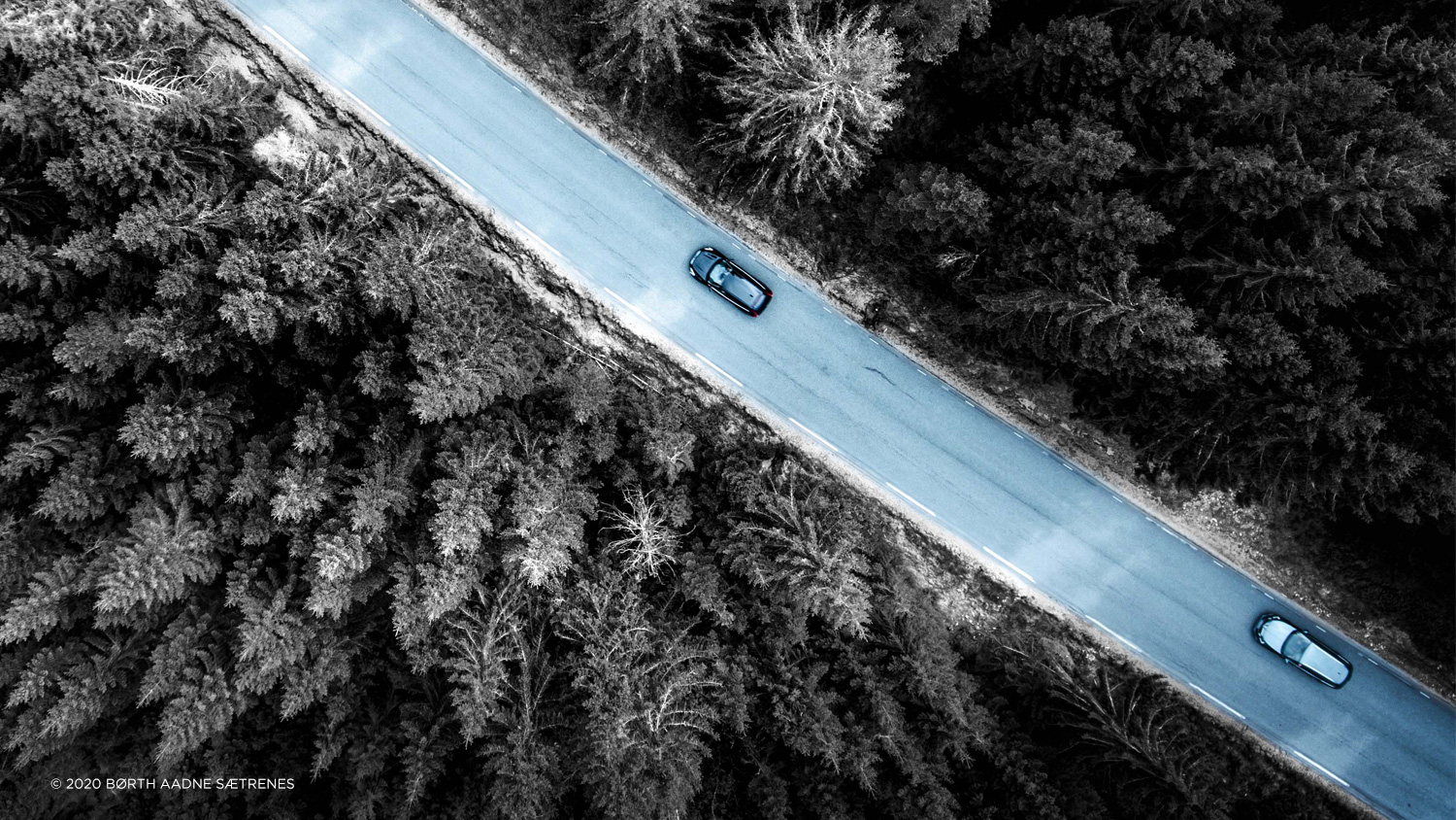 Sort/hvitt bilde av skog med en bilvei markert i blått